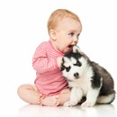 Куче у дома – по-малък риск от астма