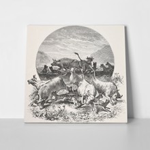 Illustration depicting hyenas attack herd 80911894 a