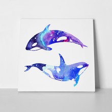 Watercolor hand drawn whale 530798263 a