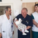 Лекари от УМБАЛ Бургас оперираха успешно 4-месечната Елена