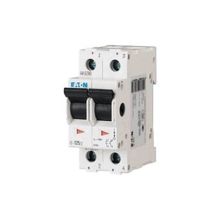 Main Switch 2-Poles 32A 240V IS-32/2