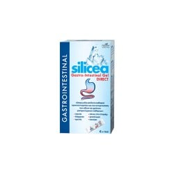 Hubner Silicea Gastro-Intestinal Gel Direct 6x15ml
