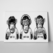 Hree wise dressed monkeys 765132289 a