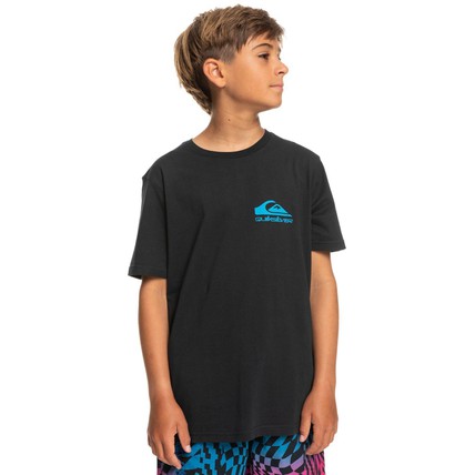 Quiksilver Boy T-Shirts Nice Days Ss Youth (EQBZT0