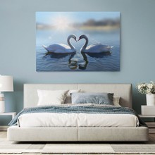 Romantic swans