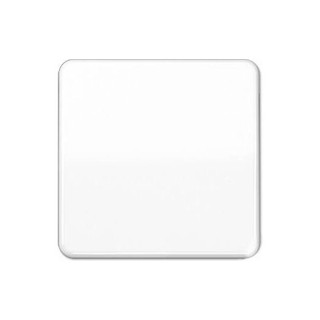 Switch/Push Button Plate White CD590WW