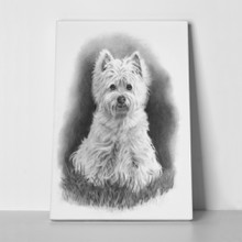 Pencil drawing west highland white terrier 75102526 a