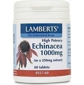 Lamberts Echinacea 1000mg για την Ενίσχυση του Ανο
