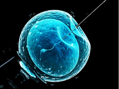 Fertilizarea in vitro – Cum știi daca a mers sau nu?