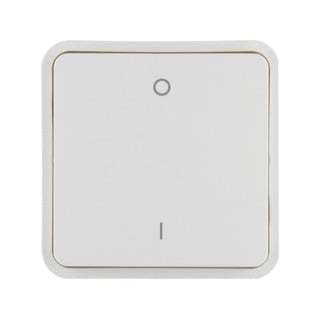 Cubyko IP55 Plate KNX 1 Button with Indication I-0