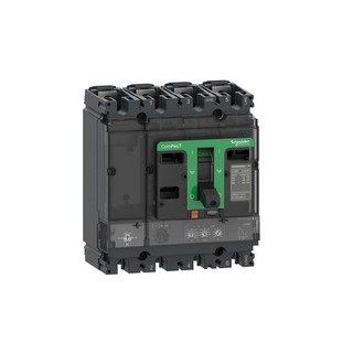 Circuit Breaker NSX250F MicroLogic 2.2 100A 4P4D C