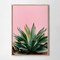 Aloe on pink bg wood