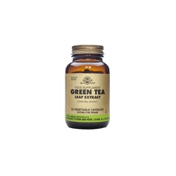 Solgar Sfp Green Tea Leaf Extract Dietary Supplement Green Tea For Weight Control 60 Herbal Capsules
