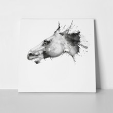 Horse head watercolor grunge 141069607 a