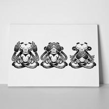Three monkeys black white 637457728 a