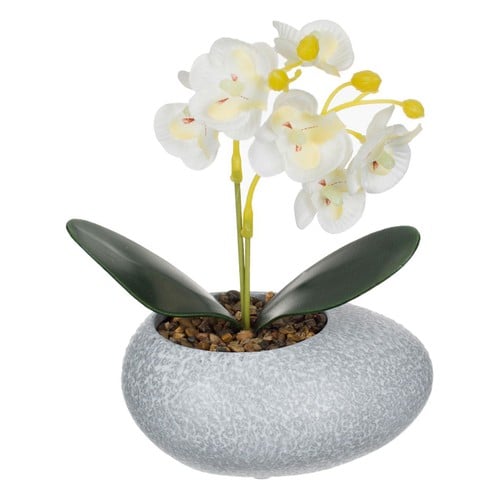 Vazo me gure dhe lule orkide te bardhe 12 cm