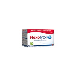 Tilman Flexofytol Συμπλήρωμα Διατροφής Για Αρθρώσεις Μύες & Τένοντες 60 κάψουλες