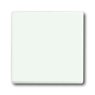 Πλακίδιο Διακόπτη Α/R Λευκό 1786-884 45995
